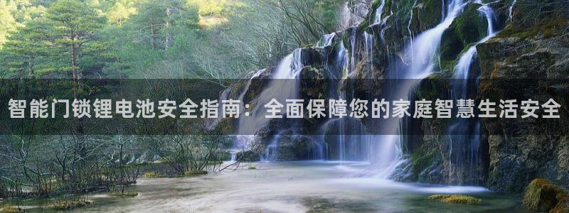 金年会官方网站登录：智能门锁锂电池安全指南：全面保障您的家庭