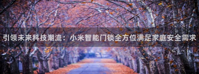 jinnianhui 金年会：引领未来科技潮流：小米智能门锁