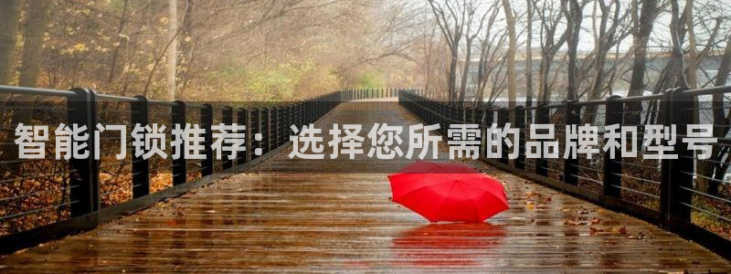 金联金年会：智能门锁推荐：选择您所需的品牌和型号