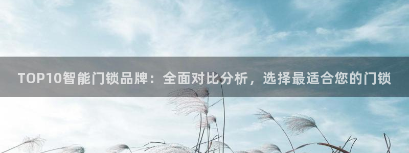 金年会网官网新版：TOP10智能门锁品牌：全面对比分析，选择