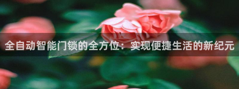 金年会app下载中国金年会：全自动智能门锁的全方位：实现便捷