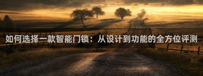 金年会是赌博的吗：如何选择一款智能门锁：从设计到功能的全方位