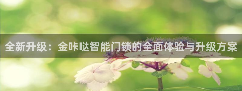 金年会平台包赔：全新升级：金咔哒智能门锁的全面体验与升级方案