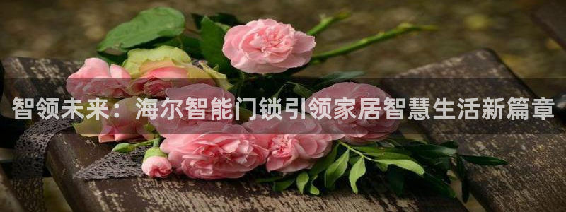 金年会棋牌：智领未来：海尔智能门锁引领家居智慧生活新篇章