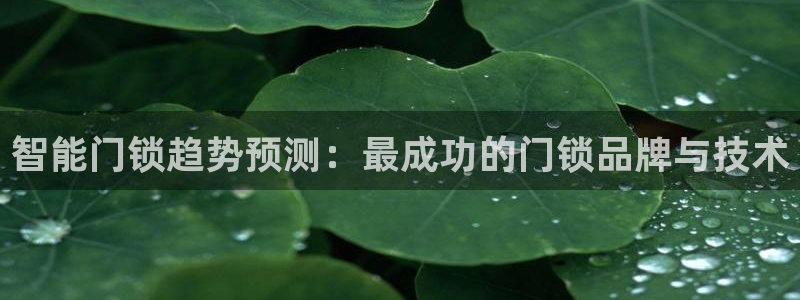金年会体育官网：智能门锁趋势预测：最成功的门锁品牌与技术