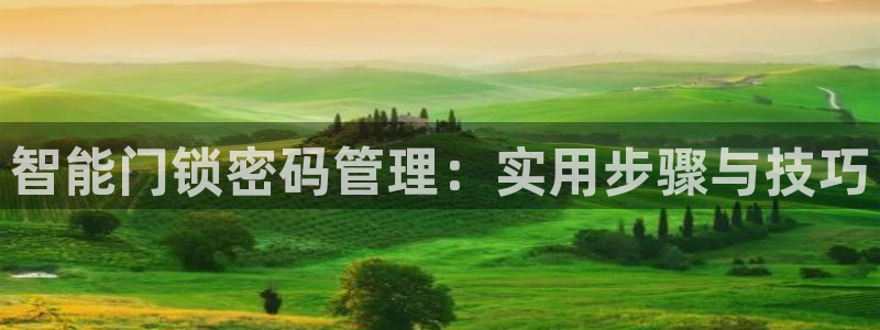 金年会官网：智能门锁密码管理：实用步骤与技巧