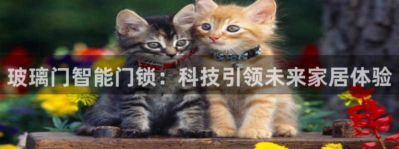 金年会彩票软件：玻璃门智能门锁：科技引领未来家居体验