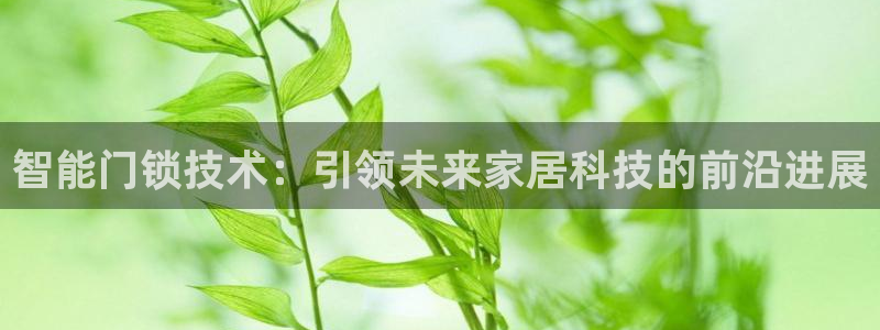 金年会投注官网：智能门锁技术：引领未来家居科技的前沿进展