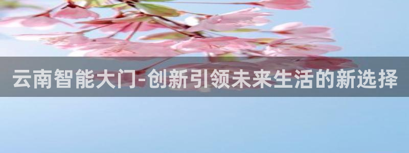 金年会体育官方网站入口：云南智能大门-创新引领未来生活的新选