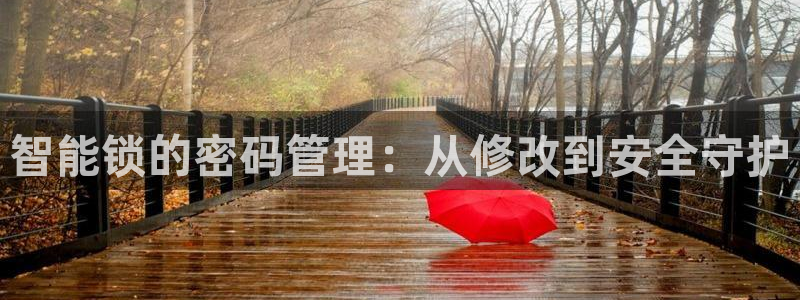体育金年会：智能锁的密码管理：从修改到安全守护