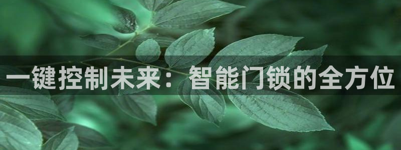 澳门娱乐金年会：一键控制未来：智能门锁的全方位