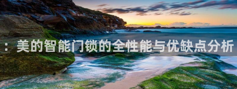 金年会不给提现：：美的智能门锁的全性能与优缺点分析