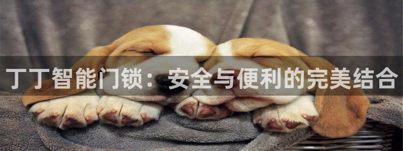 金年会登录入口：丁丁智能门锁：安全与便利的完美结合