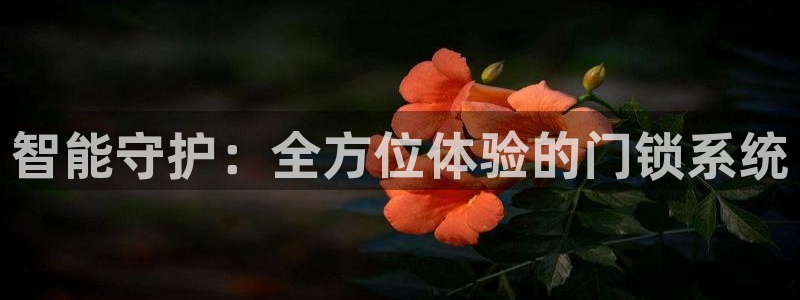 金年会体育娱乐：智能守护：全方位体验的门锁系统
