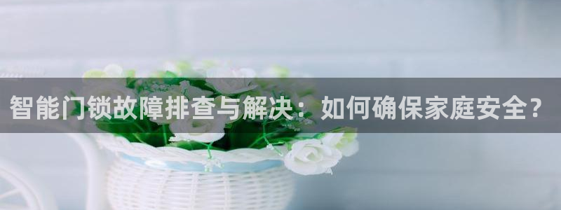 金年会6766：智能门锁故障排查与解决：如何确保家庭安全？