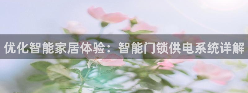 金年会澳门6766：优化智能家居体验：智能门锁供电系统详解