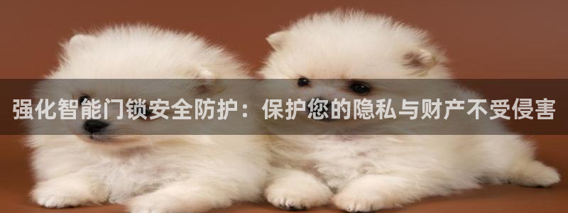 类似金年会：强化智能门锁安全防护：保护您的隐私与财产不受侵害