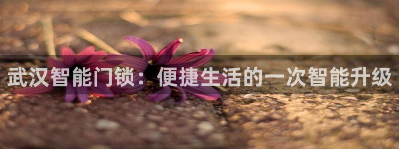 金年会拼音：武汉智能门锁：便捷生活的一次智能升级