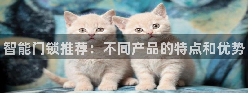 金年会原名：智能门锁推荐：不同产品的特点和优势