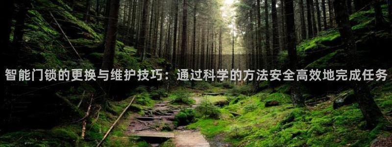 金年会原名：智能门锁的更换与维护技巧：通过科学的方法安全高效
