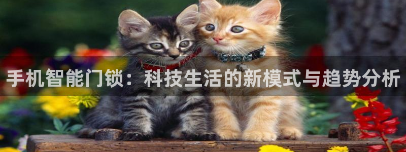 金年会APP安装下载：手机智能门锁：科技生活的新模式与趋势分