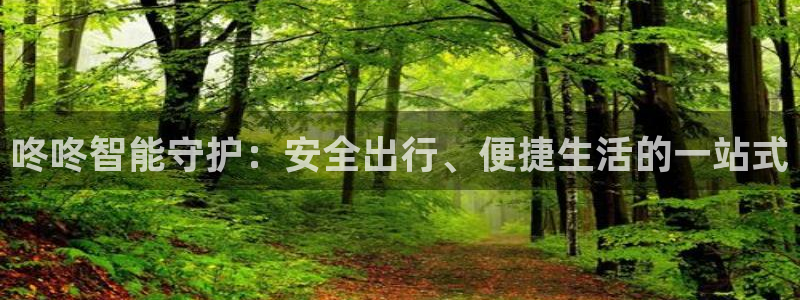 金年会足彩：咚咚智能守护：安全出行、便捷生活的一站式
