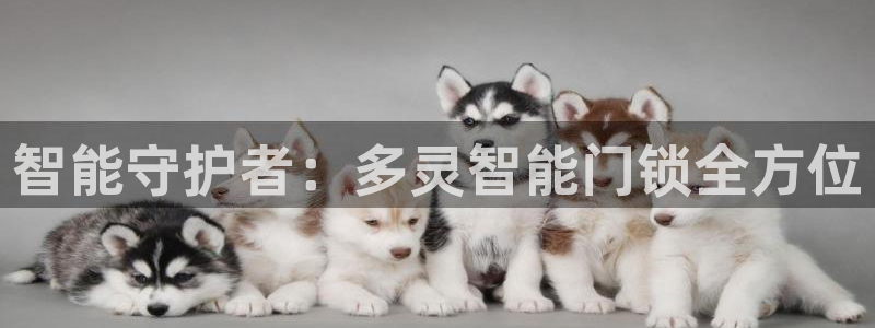 金年会平台：智能守护者：多灵智能门锁全方位