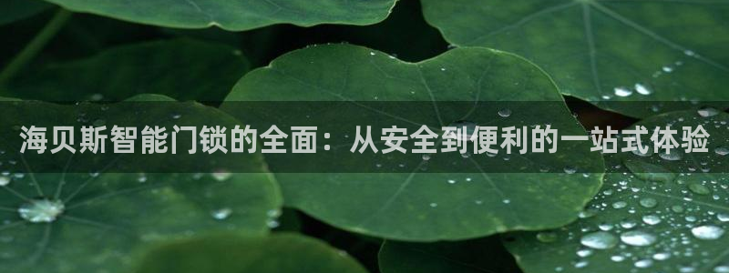 金年会体育官方：海贝斯智能门锁的全面：从安全到便利的一站式体