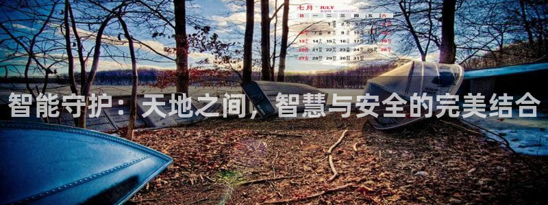 金年会电子：智能守护：天地之间，智慧与安全的完美结合