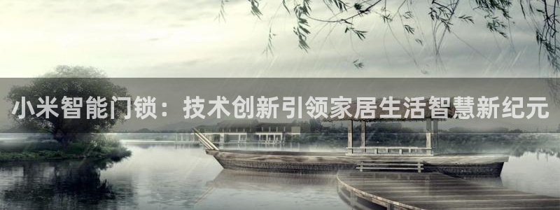 今年会送彩金28：小米智能门锁：技术创新引领家居生活智慧新纪