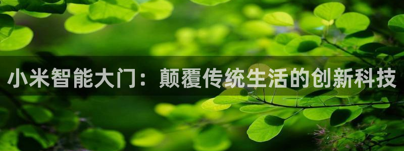 金年会app下载官网：小米智能大门：颠覆传统生活的创新科技