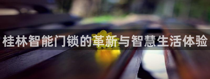 金年会娱乐和马竞：桂林智能门锁的革新与智慧生活体验
