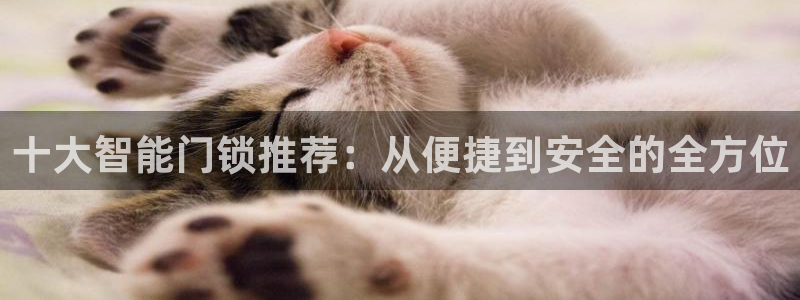 金年会提款：十大智能门锁推荐：从便捷到安全的全方位