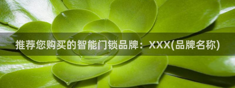金年会娱乐：推荐您购买的智能门锁品牌：XXX(品牌名称)