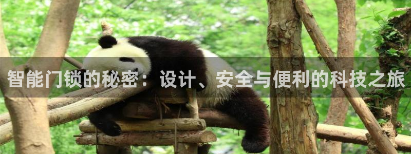 金年会平台是什么：智能门锁的秘密：设计、安全与便利的科技之旅