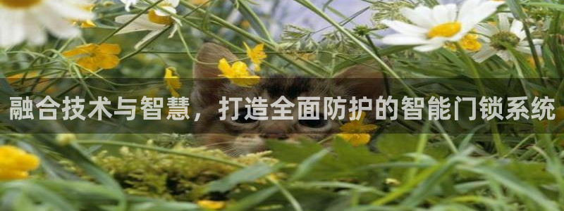 金年会黑平台：融合技术与智慧，打造全面防护的智能门锁系统