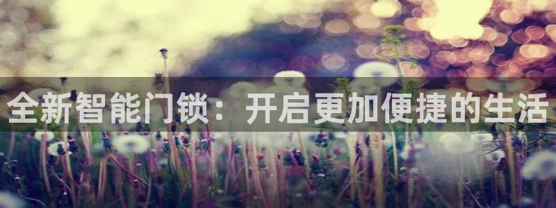 金年会手机网页登录：全新智能门锁：开启更加便捷的生活