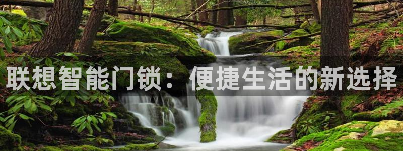 金年会平台登陆：联想智能门锁：便捷生活的新选择