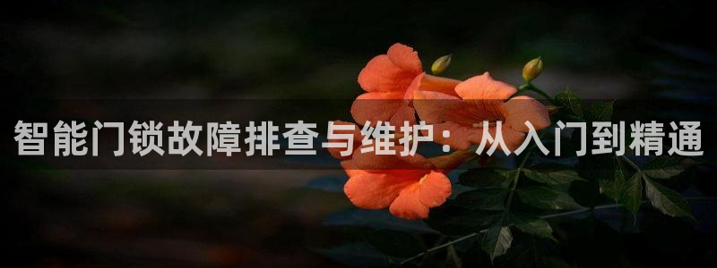 金年会嗨聊app下载：智能门锁故障排查与维护：从入门到精通