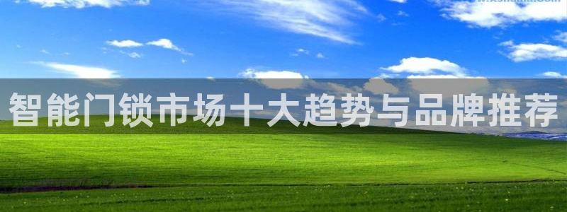 金年会安装：智能门锁市场十大趋势与品牌推荐