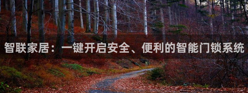 金年会金字招牌下载：智联家居：一键开启安全、便利的智能门锁系