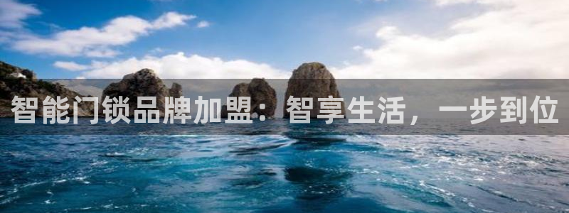 金年会在线入口：智能门锁品牌加盟：智享生活，一步到位