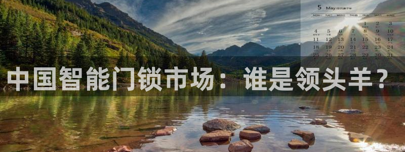 金年会官方在线登录：中国智能门锁市场：谁是领头羊？