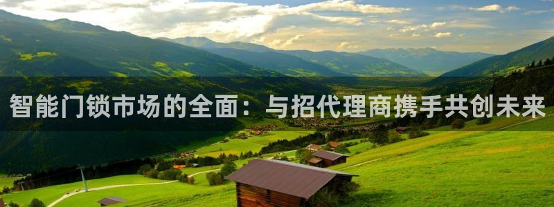 金年会澳门6766：智能门锁市场的全面：与招代理商携手共创未