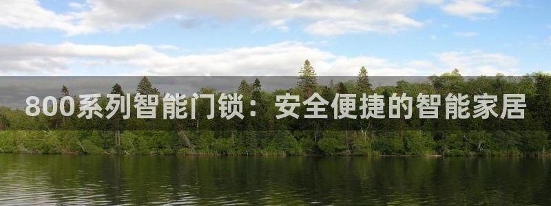 金年会是啥：800系列智能门锁：安全便捷的智能家居