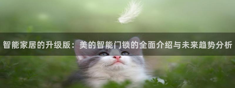 金年会在线：智能家居的升级版：美的智能门锁的全面介绍与未来趋