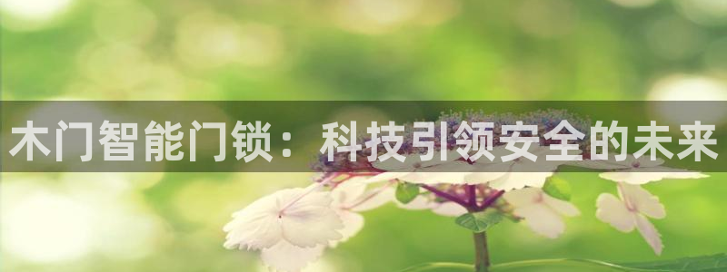 金年会官：木门智能门锁：科技引领安全的未来