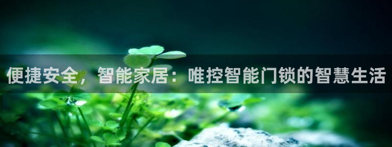 金年会体育官方网站入口：便捷安全，智能家居：唯控智能门锁的智