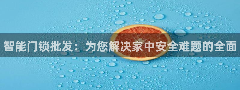 金年会赞助商：智能门锁批发：为您解决家中安全难题的全面