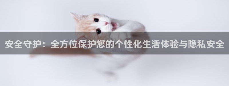 金年会娱乐官网：安全守护：全方位保护您的个性化生活体验与隐私